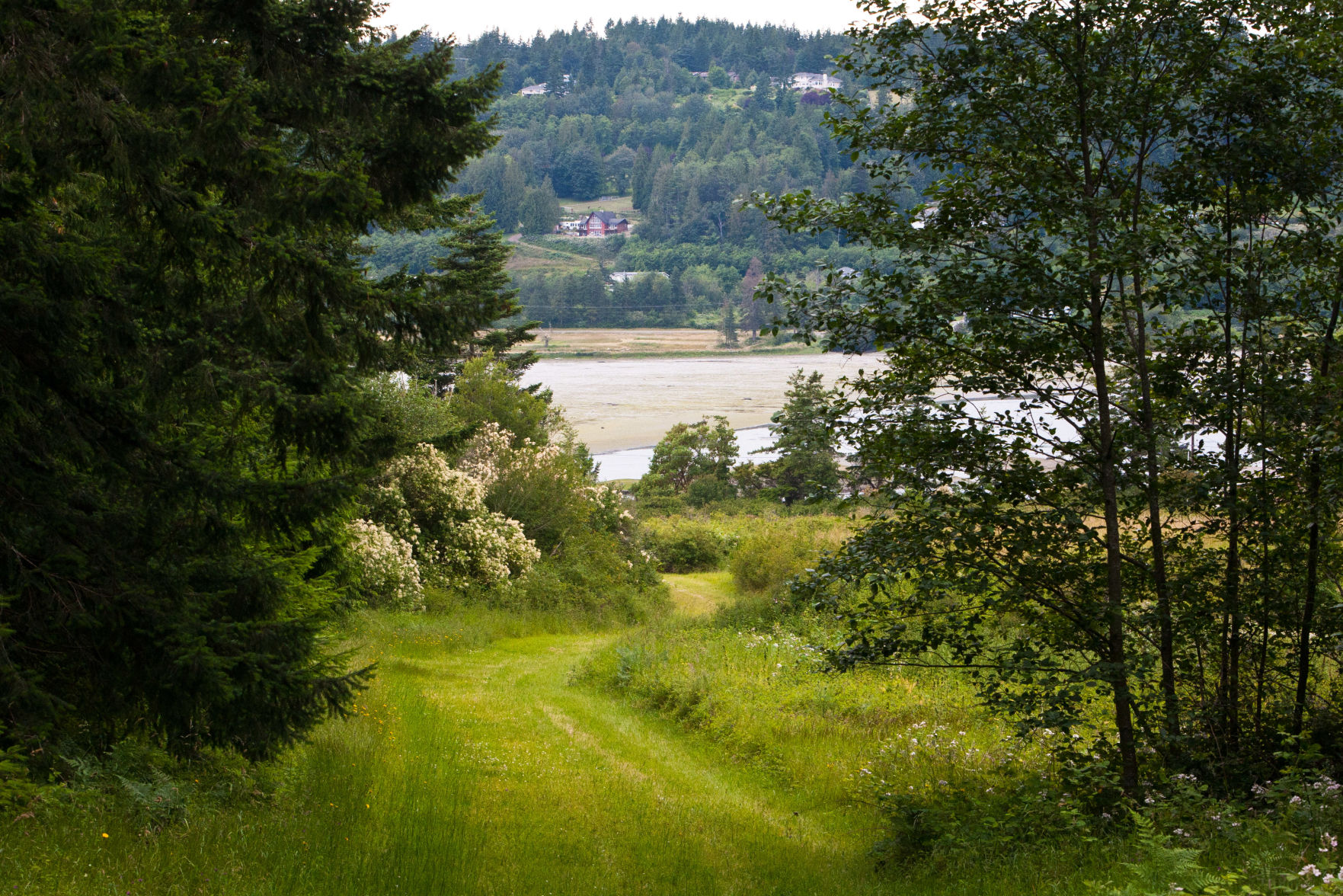 Barnum Point